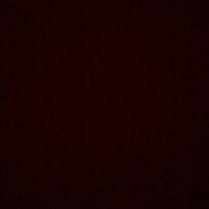 Meet your Posher, Dylan